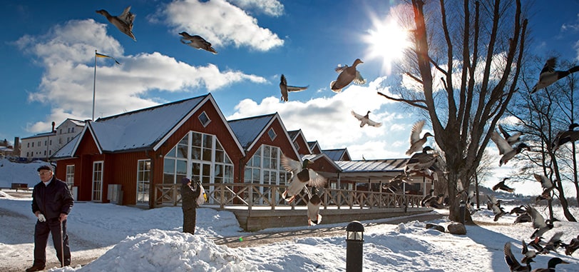 Vinterbild från Ulricehamn
