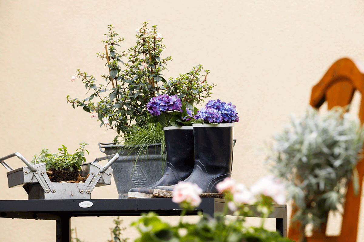 Återbruk där man planterat blommor i ett par stövlar, i en verktygslåda och på en stol.