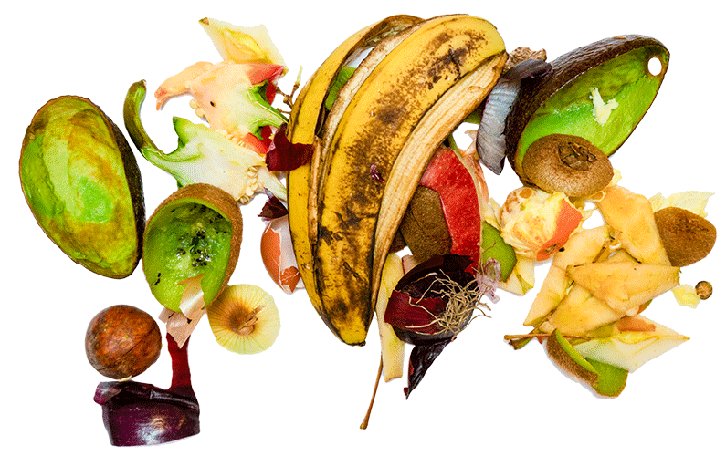 Blandade skal ifrån frukter.