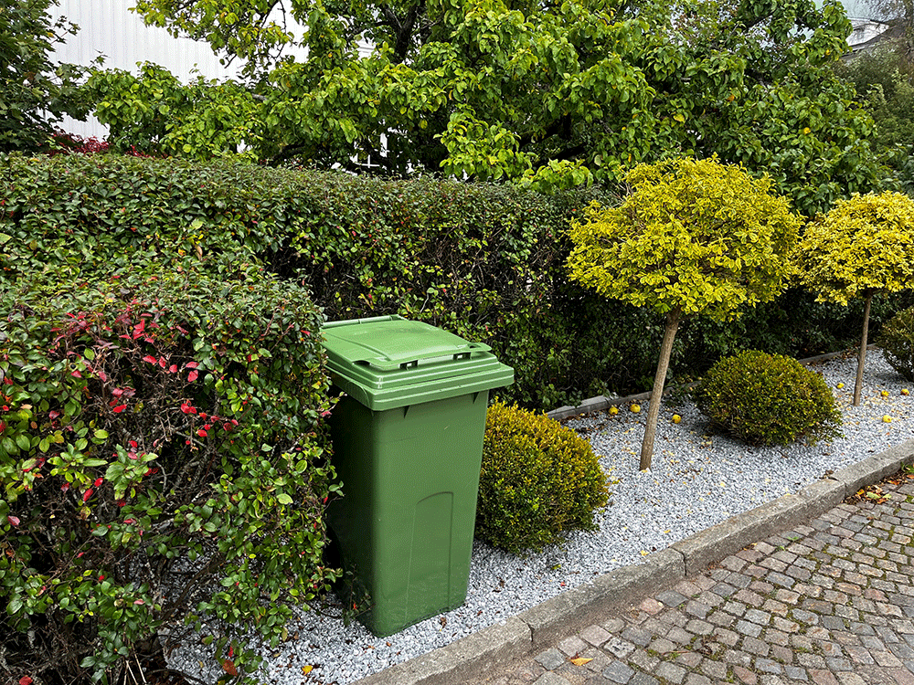 Gront_karl_low Grön soptunna längs kanten på en trädgård. Grön häck och små träd.