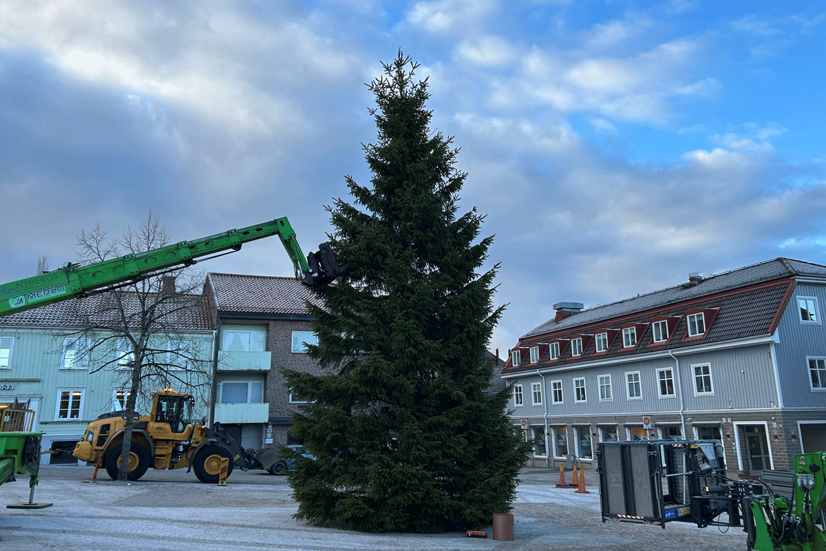 julgran_uhamn Julgran på stora torget i Ulricehamn